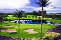 HawaiiActive