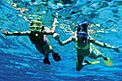 HawaiiActive
