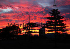 Bunbury's Burning Skies