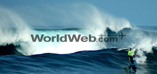 A Surfer Takes to the Tide