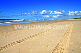 Isolated Beach with Jeep Tracks, Fraser Island, Queensland, Australia