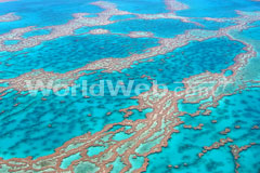 Great Barrier Reef, Austalia