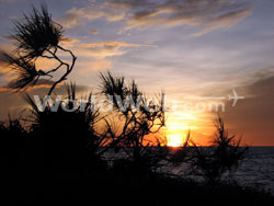 Darwin Sunset