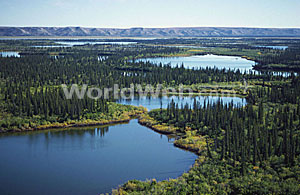 Mackenzie River Delta, Northern Territories, Canada