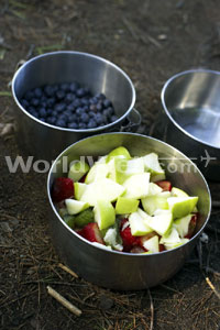 The fruits of camping