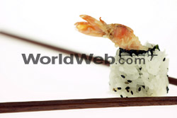 Robson Street Sushi
