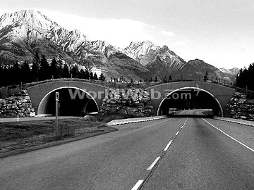 Trans-Canada Highway in Alberta, Canada
