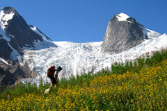 Bugaboos