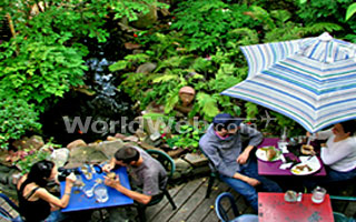 Located on St. Urbain Street in the trendy Plateau area of Montreal.