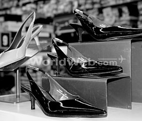 The Shoe Company's Latest