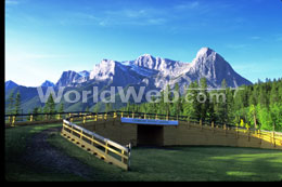A beautiful day to walk, jog or cycle on a trail at the Canmore Nordic Centre