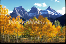 The Three Sisters bathed in the fall sunshine