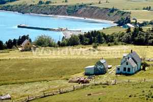 A Seaside Farm