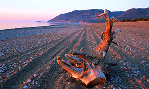 The Beach at Cheticamp
