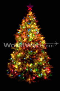 Illuminated Christmas Tree