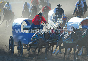 Chuckwagon Races, Calgary Stampede, Canada's Largest Rodeos