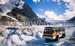 Columbia Icefield