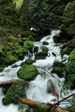 Waterfall, Strathcona Park