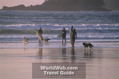Dogs and Surfers in Tofino