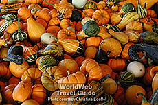 Click to Send as a Post Card