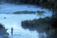 Fishing on the Grand River