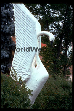 Trumpeter Swan Statue, Grande Prairie