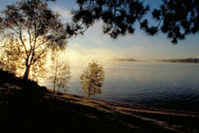 Lake of the Woods
