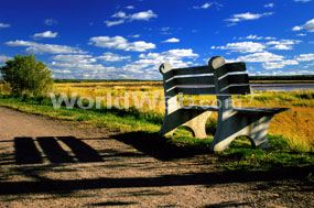 River Bench Moncton, NB