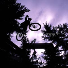 Whistler Mountain Biker