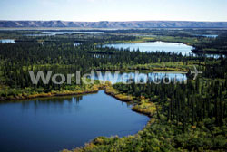 Mackenzie River Delta, Inuvik, Northwest Territories