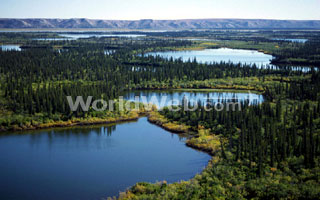 Mackenzie River Delta, Northwest Territories