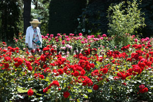 Niagara Parks Botanical Gardens, Niagara Falls