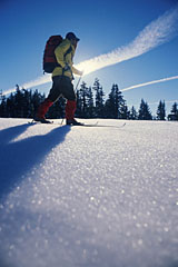 Nordic Skiing