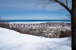 Collingwood