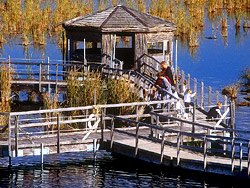 Oak Hammock Marsh