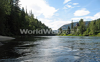 Shuswap River, BC