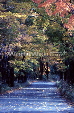 Trails, Orillia