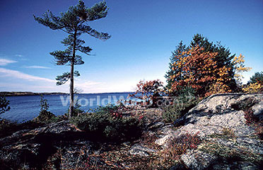 Beach, Orilla