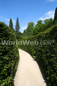 Maze Path