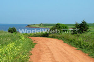 Clay Road, PEI