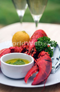 Lobster