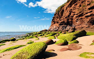 Seashore