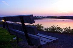 Park Bench