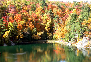 Autumn 
      Colours at Gatineau's Pink Lake