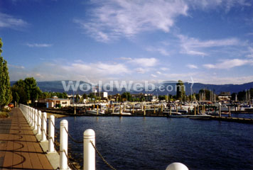The Promedade and Marina Outside Rose's Patio