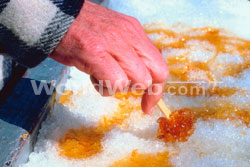 Maple Taffy on Snow