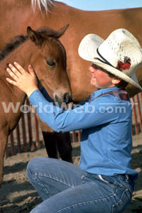 Westerner Days