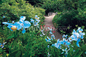 Reford Gardens, Grand-Metis
