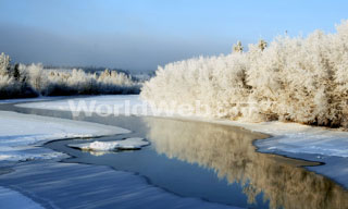 Yukon River in Winter