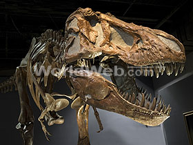 Royal Tyrrell Museum, Drumheller, Alberta
